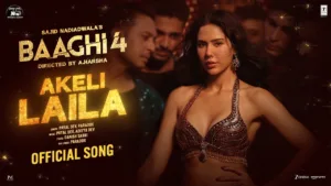 Akeli Laila Lyrics - Baaghi 4
