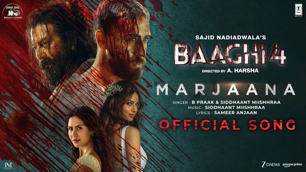 Marjaana Lyrics - Baaghi 4
